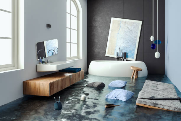 Best Mold removal after water damage  in Dell Rapids, SD