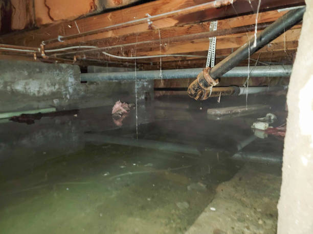Best Emergency water damage restoration  in Dell Rapids, SD