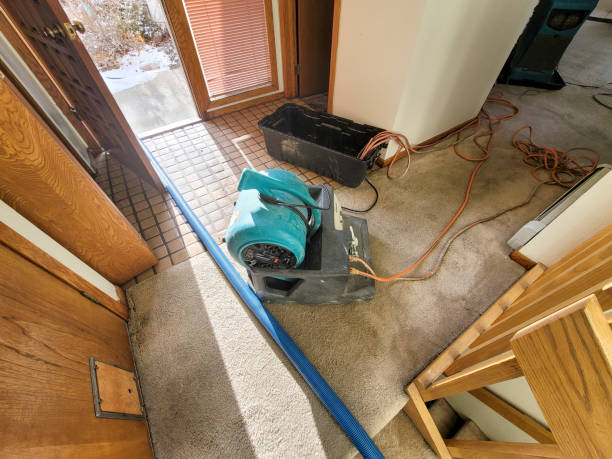 Best Flooded house restoration  in Dell Rapids, SD