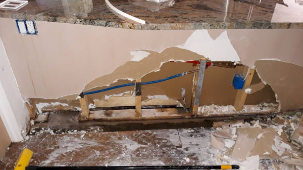 Best Professional water damage repair  in Dell Rapids, SD