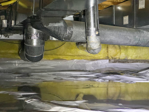 Best Flood damage cleanup  in Dell Rapids, SD