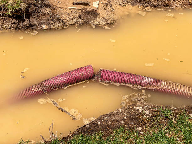 Best Flood restoration services  in Dell Rapids, SD