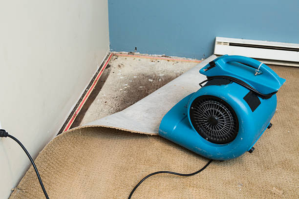 Best Flood damage cleanup  in Dell Rapids, SD